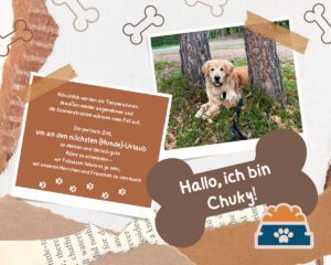 Hund Chuky