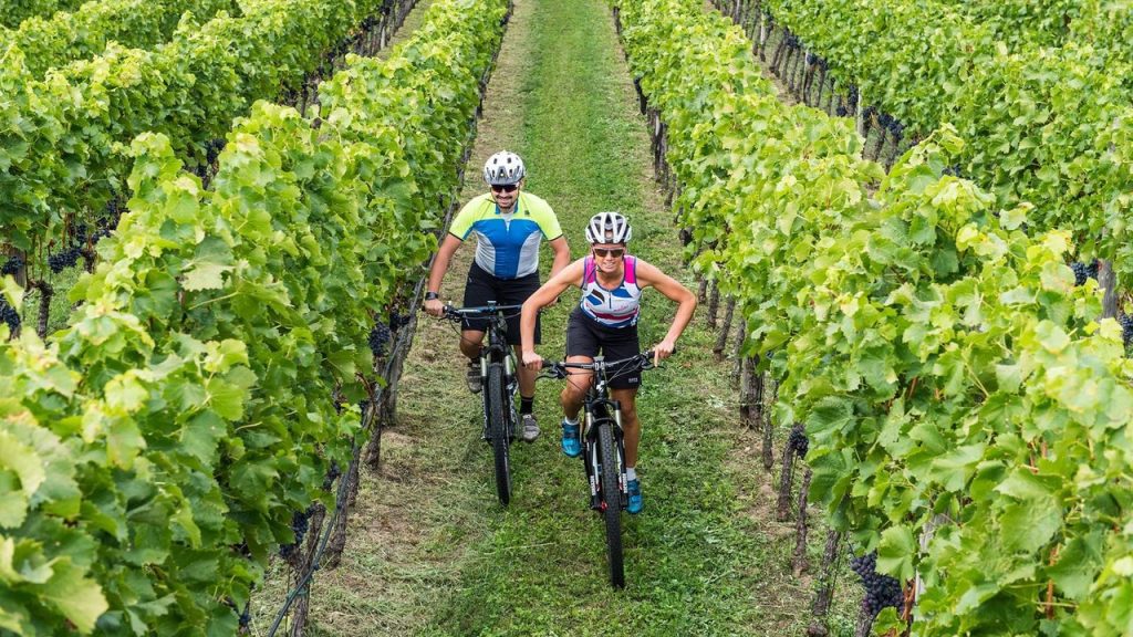 E-Bike und Mountainbike in Südtirol